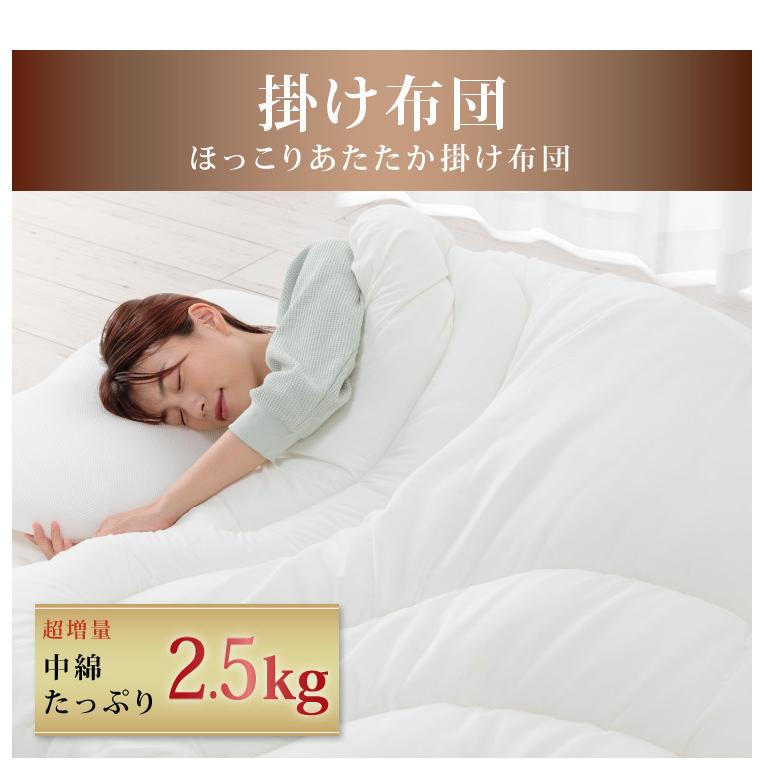 TEIJIN（テイジン） 抗菌防臭防ダニ加工掛け布団 ボリュームMAX 中綿