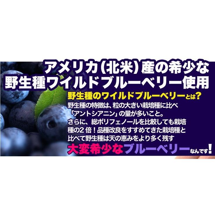 史上最も激安 返品 キャンセル 野生種 ワイルドブルーベリー大容量1kgギフト カタログギフト 人気 詰め合わせ 詰合せ 送料無料 送料無料 返品 キャンセル 野生種 ワイルドブルーベリー大容量1kg ギフト カタログギフト 人気 詰め合わせ 詰合せ ギフト