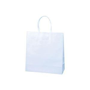 （業務用2セット）紙手提袋特小100枚290X260X100mm 代引不可