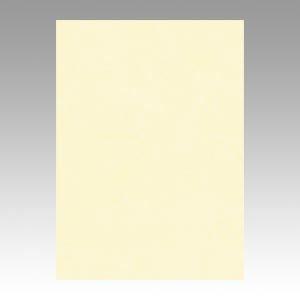 （業務用セット） 文運堂 ニューカラーR 四ツ切 横392×縦542mm 4NCR-112 うすクリーム 100枚入 〔×2セット〕 代引不可