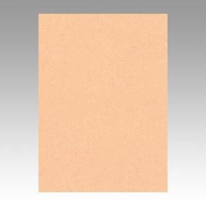 （業務用セット） 文運堂 ニューカラーR 四ツ切 横392×縦542mm 4NCR-103 はだいろ 100枚入 〔×2セット〕 代引不可