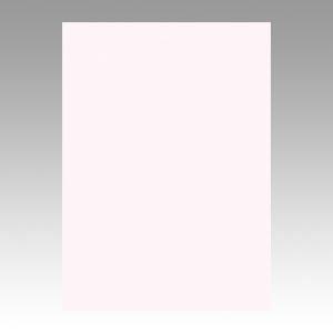 （業務用セット） 文運堂 ニューカラーR 四ツ切 横392×縦542mm 4NCR-135 ピンク 100枚入 〔×2セット〕 代引不可