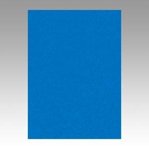 （業務用セット） 文運堂 ニューカラーR 四ツ切 横392×縦542mm 4NCR-239 あお 100枚入 〔×2セット〕 代引不可