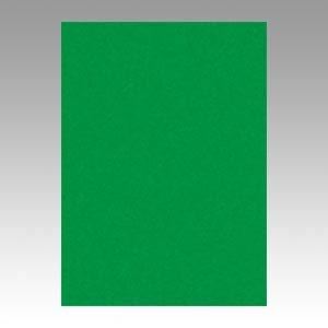 （業務用セット） 文運堂 ニューカラーR 四ツ切 横392×縦542mm 4NCR-321 みどり 100枚入 〔×2セット〕 代引不可
