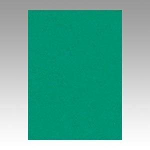（業務用セット） 文運堂 ニューカラーR 四ツ切 横392×縦542mm 4NCR-322 エメラルド 100枚入 〔×2セット〕 代引不可