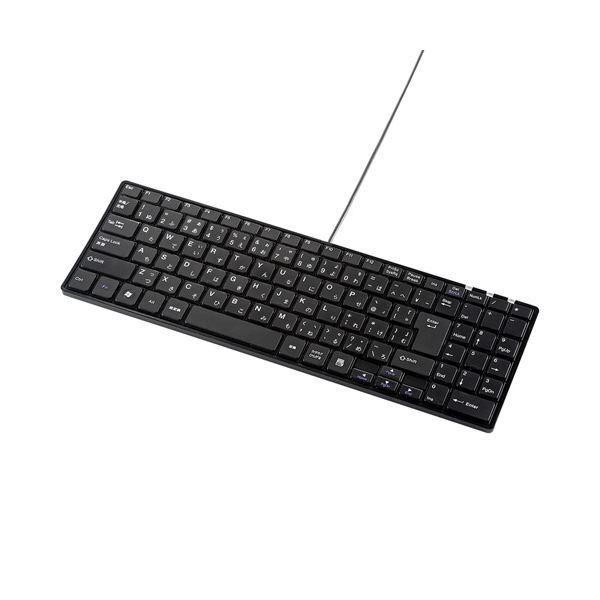 (まとめ)サンワサプライ USBスリムキーボード SKB-SL17BKN〔×2セット〕 代引不可