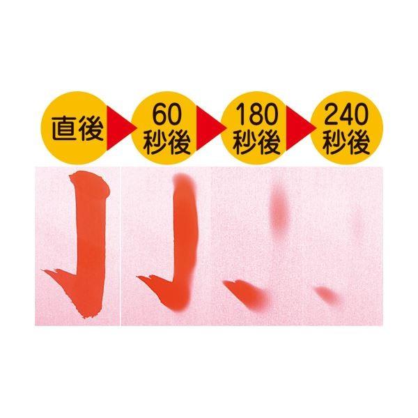 （まとめ） 墨運堂 水がき半紙 242471パック（3枚） 〔×10セット〕 代引不可_2