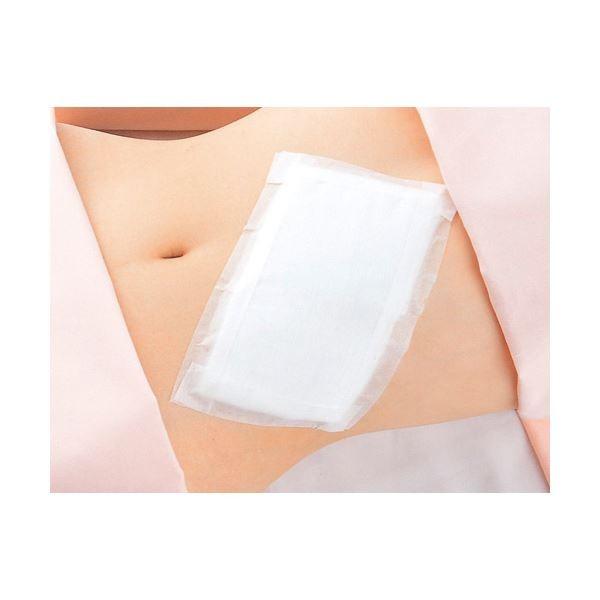 （まとめ） ニチバン サージカルテープ・ハダ STH25〔×5セット〕 代引不可