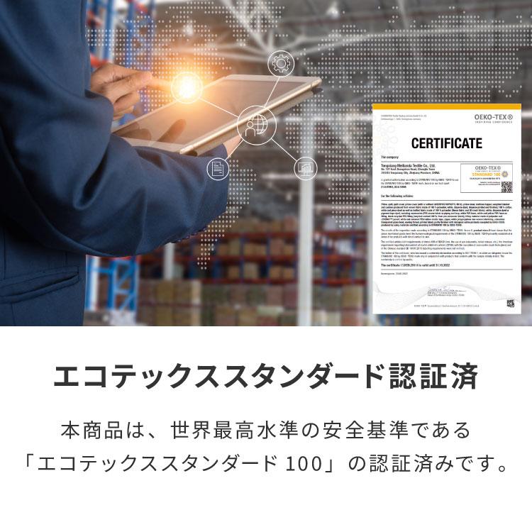 ビーズクッション本体 50×50×35cm ヌードタイプ Sサイズ 極小ビーズ へたりにくい 低VOC 大きい 北欧 マイクロビーズクッション 中身 ソファの画像