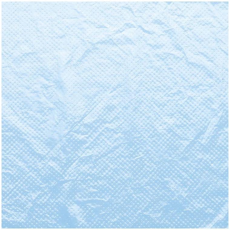 単品3個セット サラヤ サラヤ プラスチックエプロン袖なし 50枚入 ケース ブルー 51063 975088 450 12350 代引不可_2