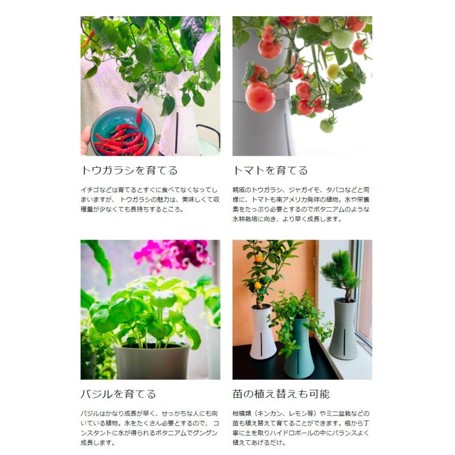 スマート水耕栽培キット ボタニアム 野菜 華 花 植物 飼育 部屋 家 料理 育てる 栽培 花瓶 植木 植木鉢 おしゃれ スマート Zr Botaniumu リコメン堂ホームライフ館 通販 Yahoo ショッピング