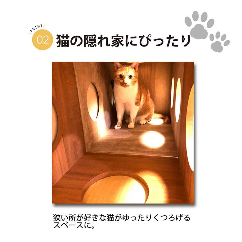 オープンラックシステム 猫ホーム 3S カラーボックス 組み合わせ