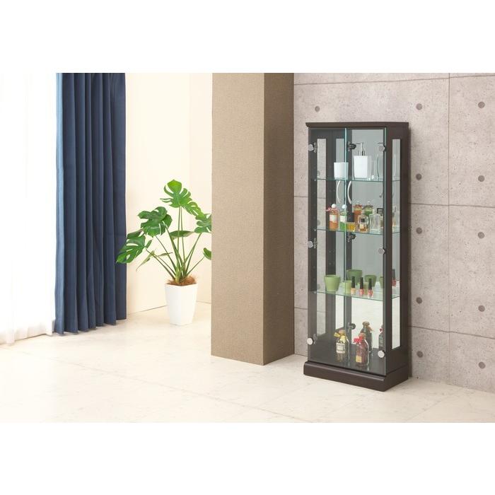 スキニー45 コレクションケース 幅45cm×128cm コレクションボード