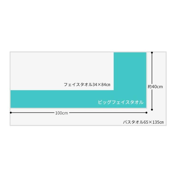 ビッグフェイスタオル タオル 40cm 100cm 小さめ ミニ 大判 ビッグ 無地 ホテルタオル ミニバスタオル ビックフェイスタオル 代引不可｜rcmdin｜11