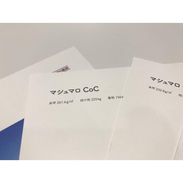 マシュマロＣｏＣ Ａ４ Ｙ 232.8ｇ（200kg 800枚パック 1枚あたり14.5円) 代引不可_4