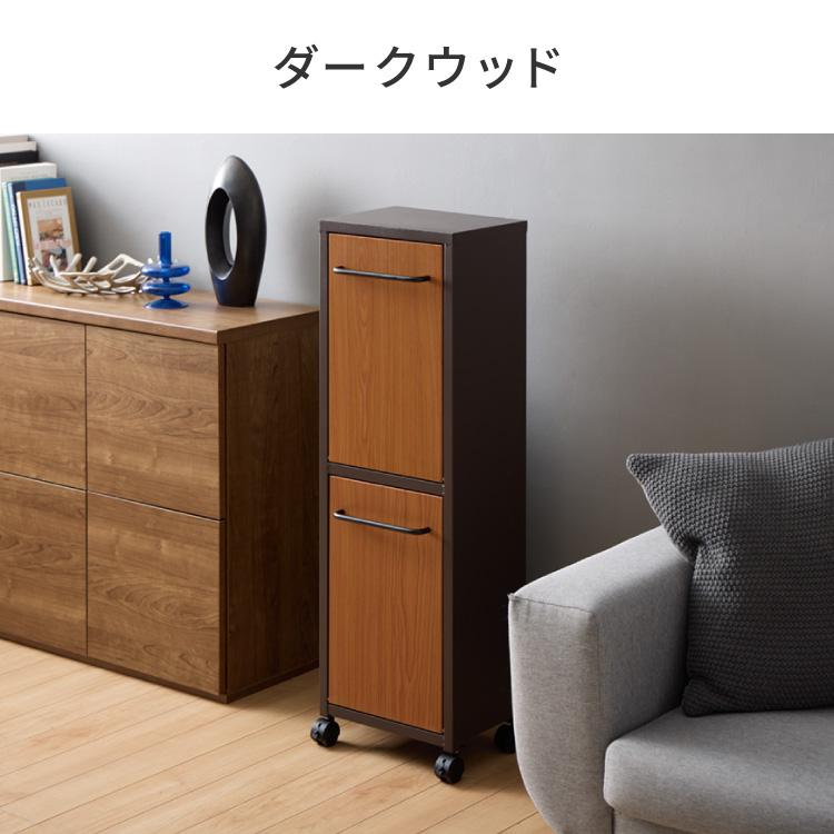 セトクラフト ゴミ箱 分別 縦型 2段 ガルバリウム鋼板&ステンレス
