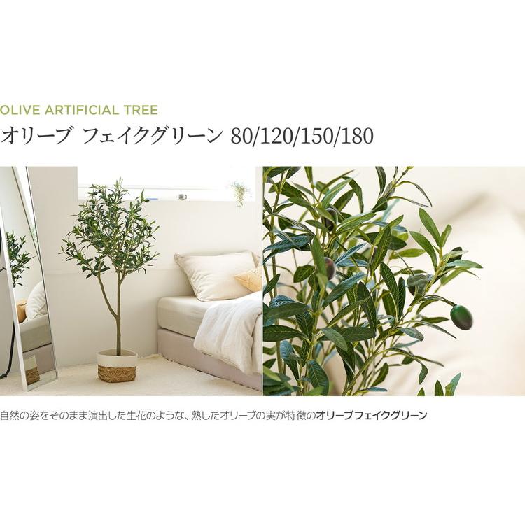 roommhome オリーブの木 80cm フェイクグリーン 人工観葉植物 造花 観葉樹 室内 観葉植物 オリーブ グリーン ルームアンドホーム 代引不可｜rcmdin｜05