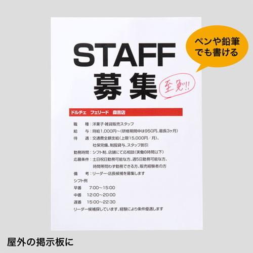 サンワサプライ カラーレーザー用 耐水紙・標準 LBP-WPF12MDPN 代引不可｜rcmdin｜07