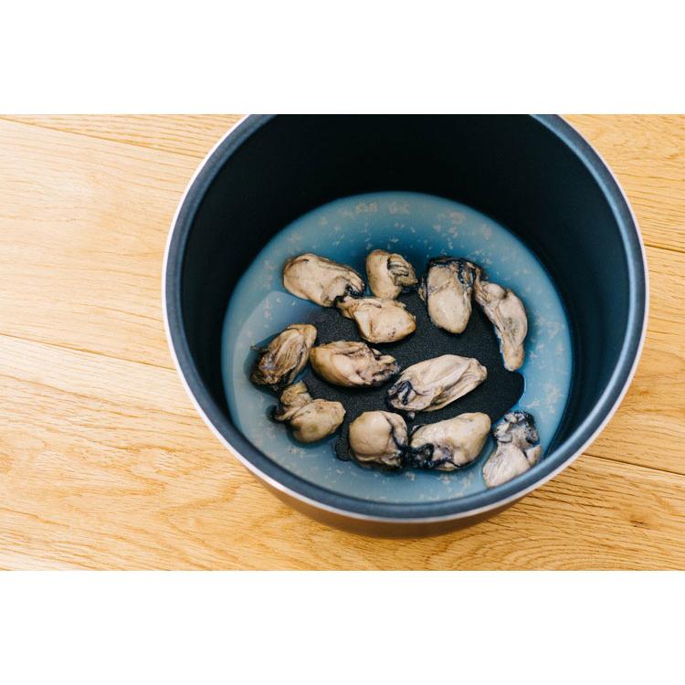 siroca シロカ 電気圧力鍋 5L おうちシェフ PRO L グレー ブラウン