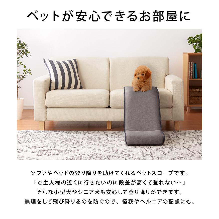 ペットスロープ ドッグステップ 幅35cm リクライニング 14段 2ヶ所 高さ調節可能 角度調節 介護 犬用スロープ ペットステップ ペット用 ステップ B8 C Dogstep 1 リコメン堂インテリア館 通販 Yahoo ショッピング