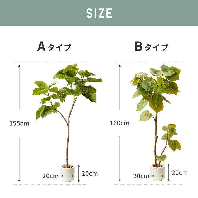 リコメン堂 人工観葉植物 ウンベラータ フェイクグリーン 大型 155cm