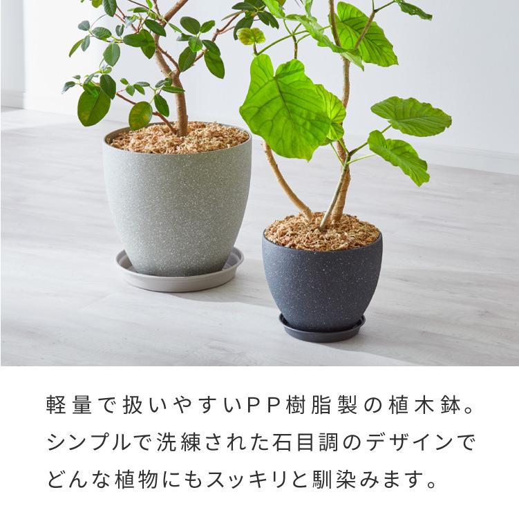 リコメン堂 植木鉢 鉢 直径23cm 8号 おしゃれ モダン ガーデニング