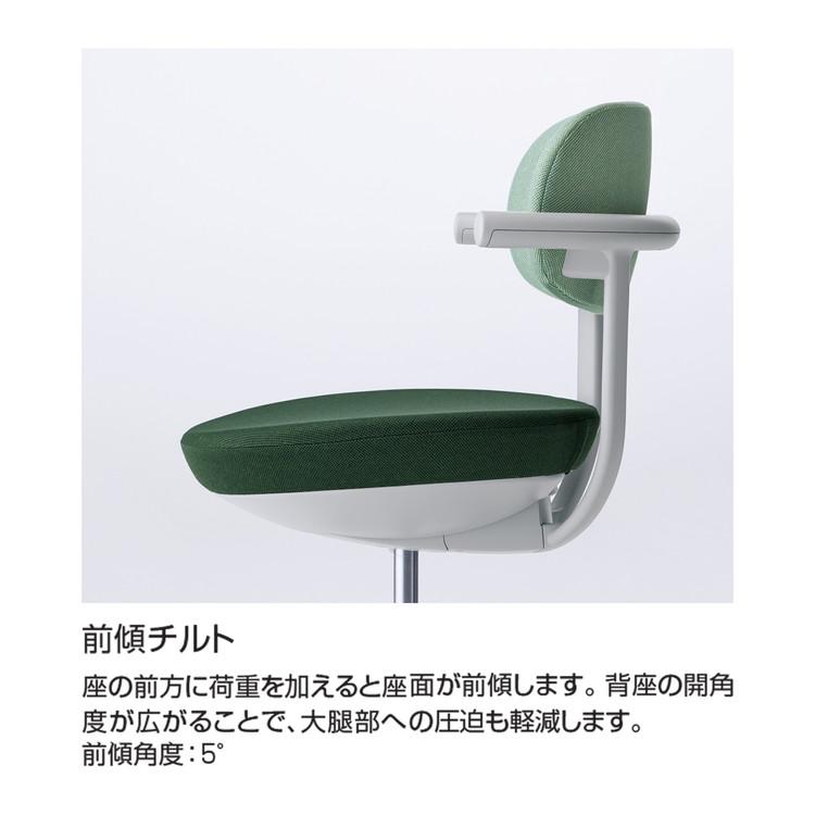 メーカー直送 カジュアルチェア パロ スタンダードタイプ 背樹脂タイプ スタンダードタイプ 本体ライトグレー グレー脚 C07-G11JU-E2M6E21 代引不可_2