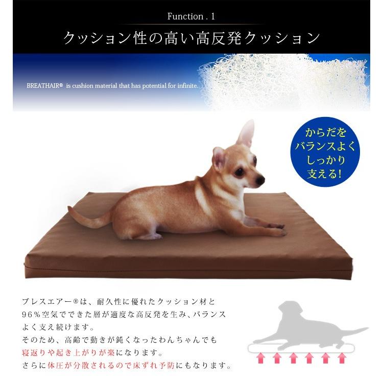 ブレスエアー R ペット用マット クッション 中型犬 猫 洗える 日本製 東洋紡 三次元スプリング構造体 ブレスエアー R 使用 ペットケアマット Mサイズ Df Bapet M リコメン堂インテリア館 通販 Yahoo ショッピング