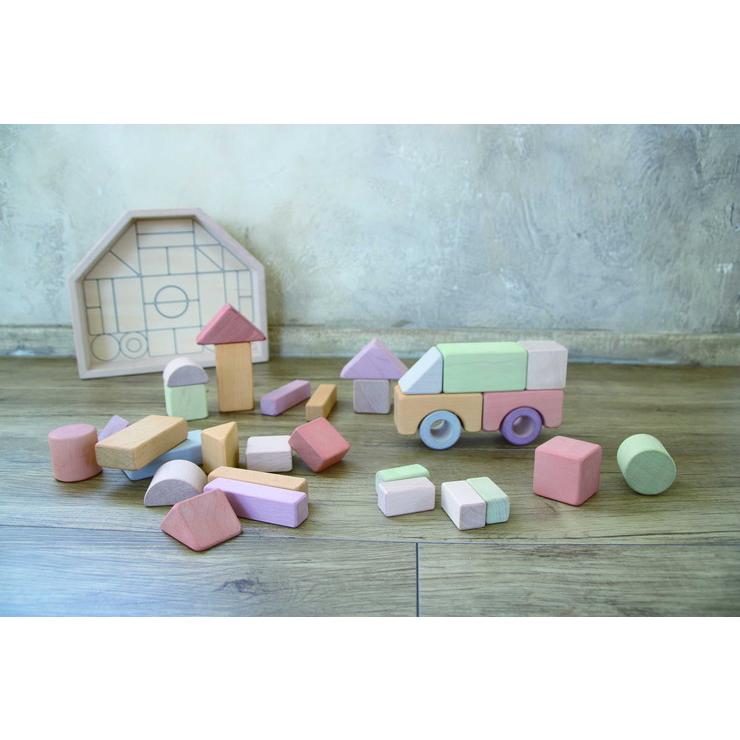 エドインター 日本製 積み木 Nihon つみきの家 Mサイズ E8 リコメン堂インテリア館 通販 Yahoo ショッピング