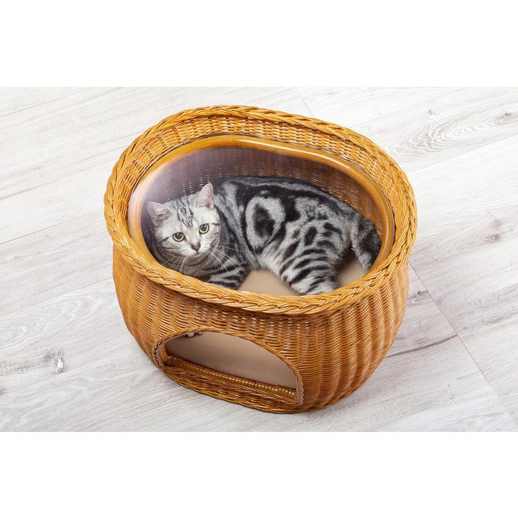 ラタン キャットハウス 猫ベッド ペット用ベッド テーブル 強化ガラス天板 幅50cm 奥行40cm 高さ33cm クッションシート付き 代引不可 Fl リコメン堂インテリア館 通販 Yahoo ショッピング