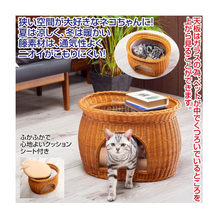 ラタン キャットハウス 猫ベッド ペット用ベッド テーブル 強化ガラス天板 幅50cm 奥行40cm 高さ33cm クッションシート付き 代引不可 Fl リコメン堂インテリア館 通販 Yahoo ショッピング