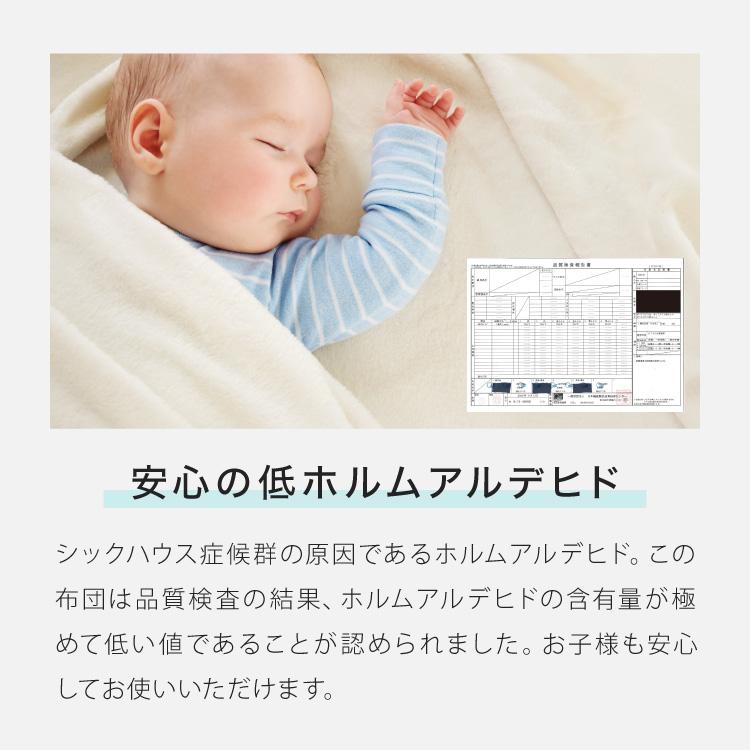 布団4点セット ダブル Ever Clean 抗菌 防臭 ほこりが出にくい 洗える