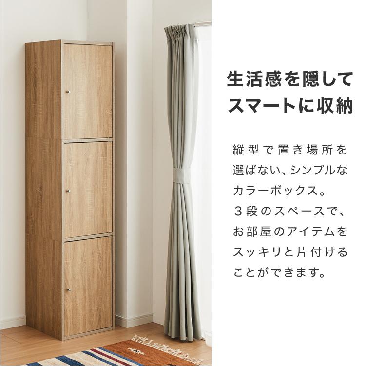収納ボックス カラーボックス ボックス 3ドア 収納 収納ケース 扉