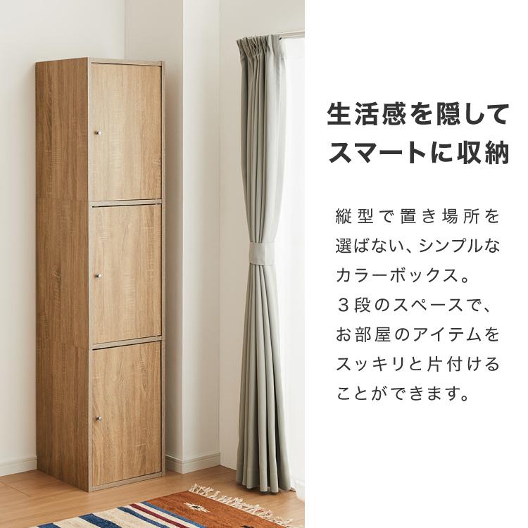 収納ボックス カラーボックス ボックス 3ドア 収納 収納ケース 扉