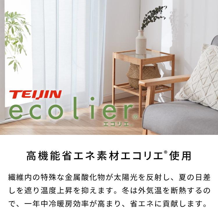 リコメン堂 間仕切りカーテン フリーカット 幅100cm テイジン エコリエ
