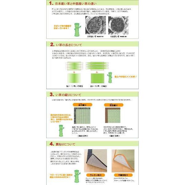純国産 糸引織 い草上敷 『湯沢』 六一間3畳（約185×277cm）｜rcmdin｜02