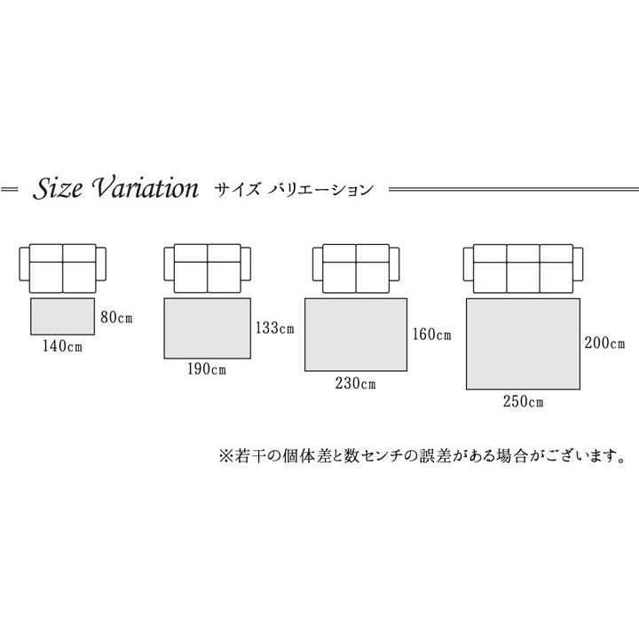 トルコ製 ウィルトン織カーペット ギャッペ調ラグ 約160×230cm 4畳 ギャベ 敷き物 ウィルトンカーペット トルコ製 代引不可｜rcmdin｜02