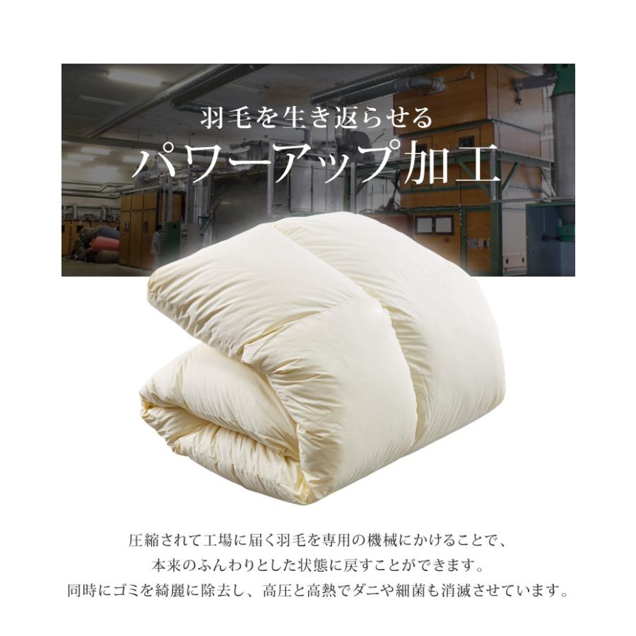 日本製 羽毛ふとん シングル 1.2kg ロイヤルゴールドラベル ポーランド
