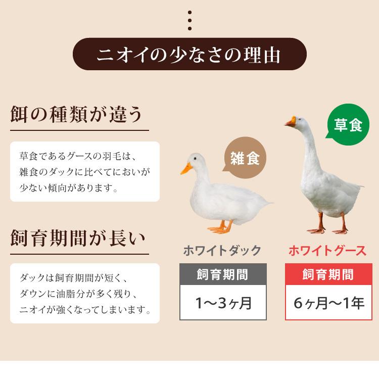 日本製 羽毛ふとん シングル 1.2kg ロイヤルゴールドラベル ポーランド