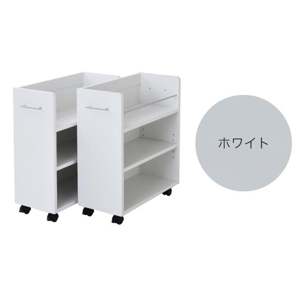 クローゼット ラック 収納 2個セット A4ファイル 幅26 奥行58