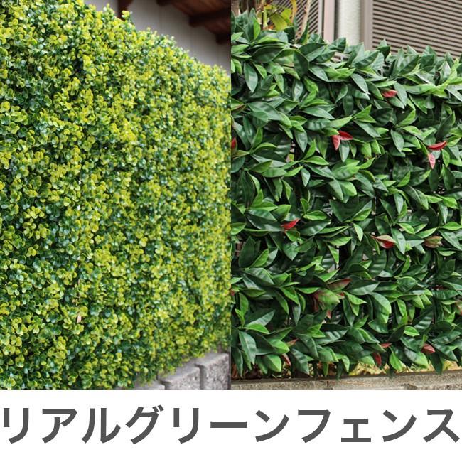 リアルグリーンフェンス 1m×1m ボックスウッド グリーンカーテン リアルグリーンフェンス 1m×1m ボックスウッド グリーンカーテン