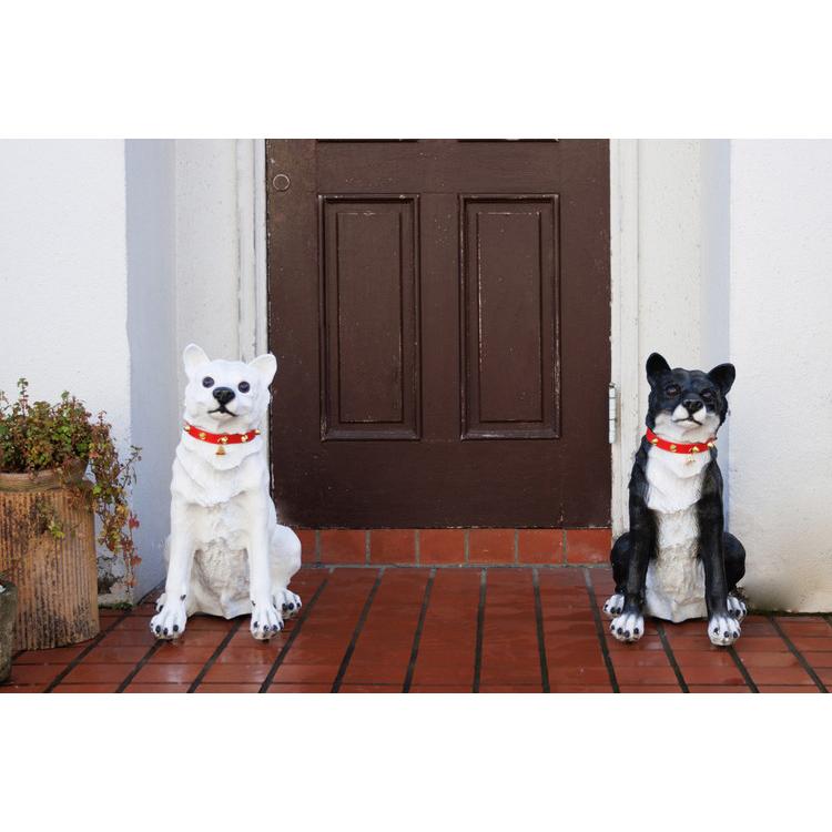 わんわんです(１０日中のご購入でお願い致します). 楽天市場】【最大1万円オフクーポン※要LINE条件達成