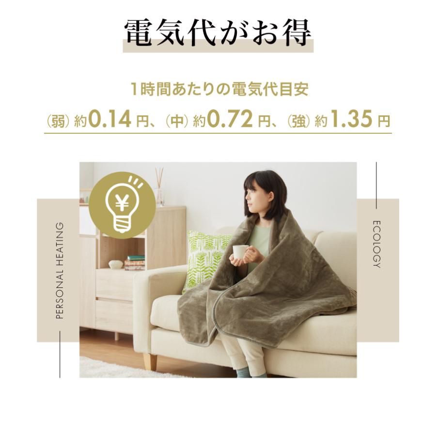 フランネル 電気掛け敷き毛布 188×130cm 消臭 デオテックス 本体丸洗い
