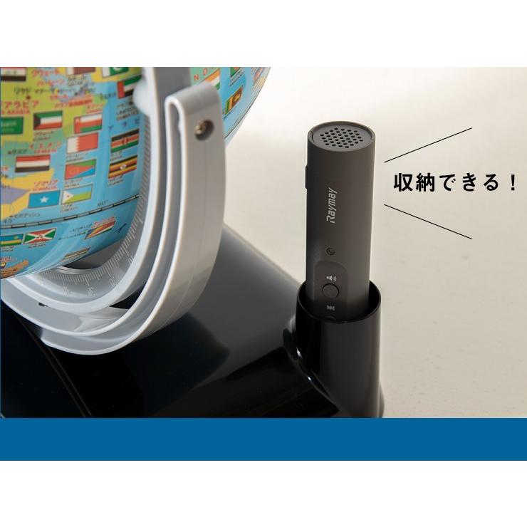 レイメイ藤井 地球儀 しゃべる国旗付地球儀トイ 径25cm 音声機能 全