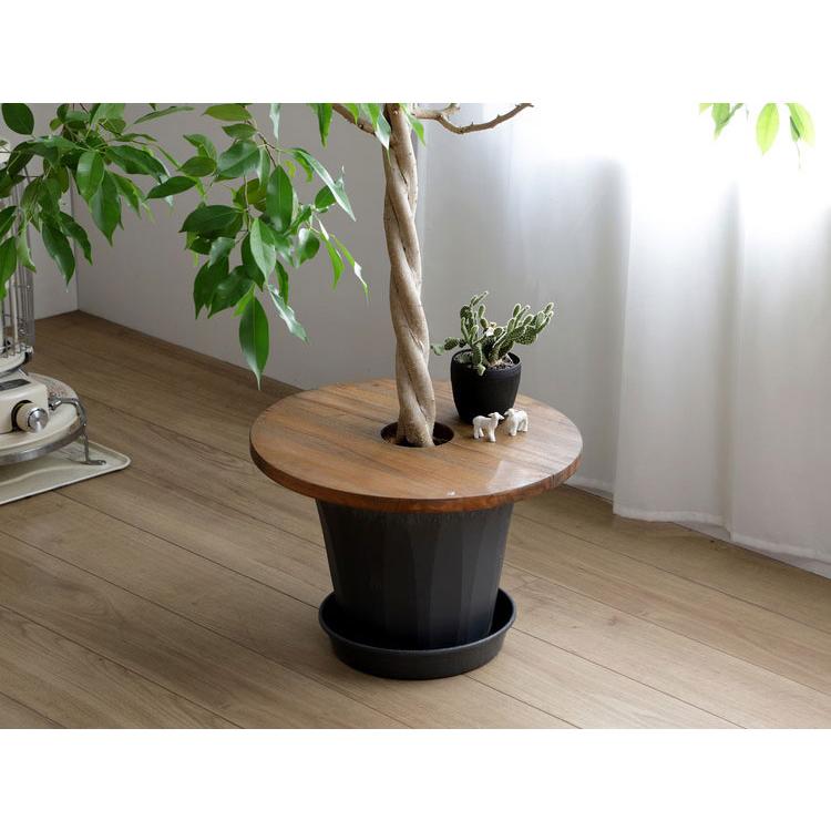 プランツテーブル 直径45cm Jardin Plants Table ミニテーブル 天然木