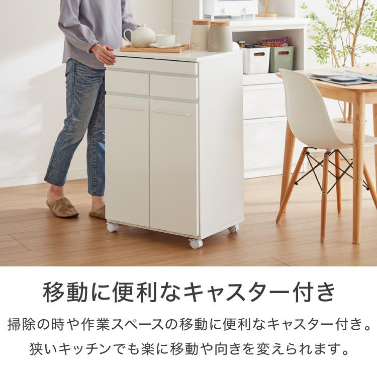 スライド棚付きダストボックス 分別 大容量 2分別 ごみ箱 ゴミ箱 幅55