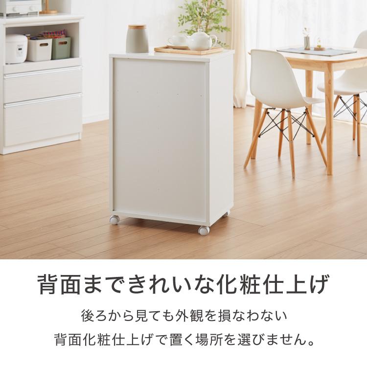 スライド棚付きダストボックス 分別 大容量 2分別 ごみ箱 ゴミ箱 幅55