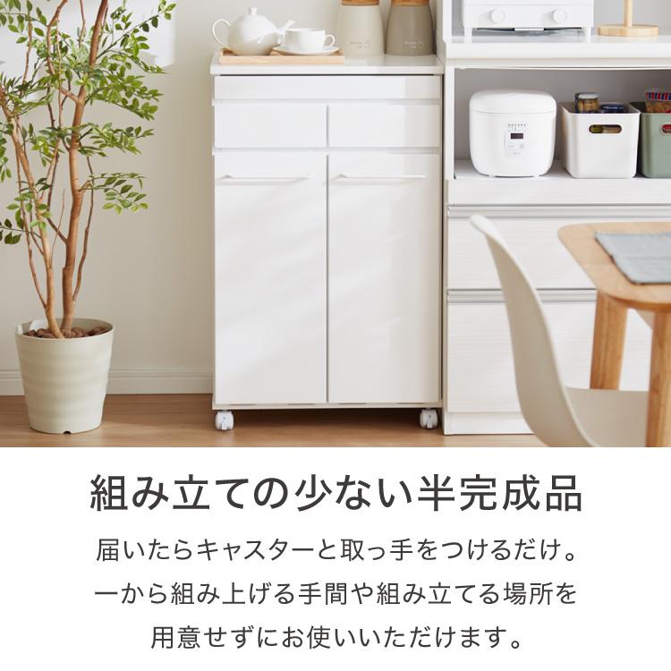 スライド棚付きダストボックス 分別 大容量 2分別 ごみ箱 ゴミ箱 スライド棚付きダストボックス 分別 大容量 2分別 ごみ箱 ゴミ箱