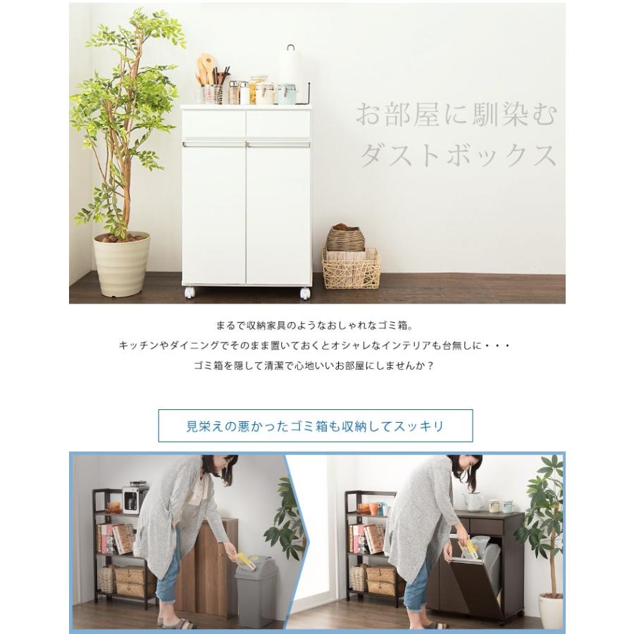 ごみ箱 ゴミ箱 分別 大容量 2分別 完成品 ダストボックス 幅55 スリム