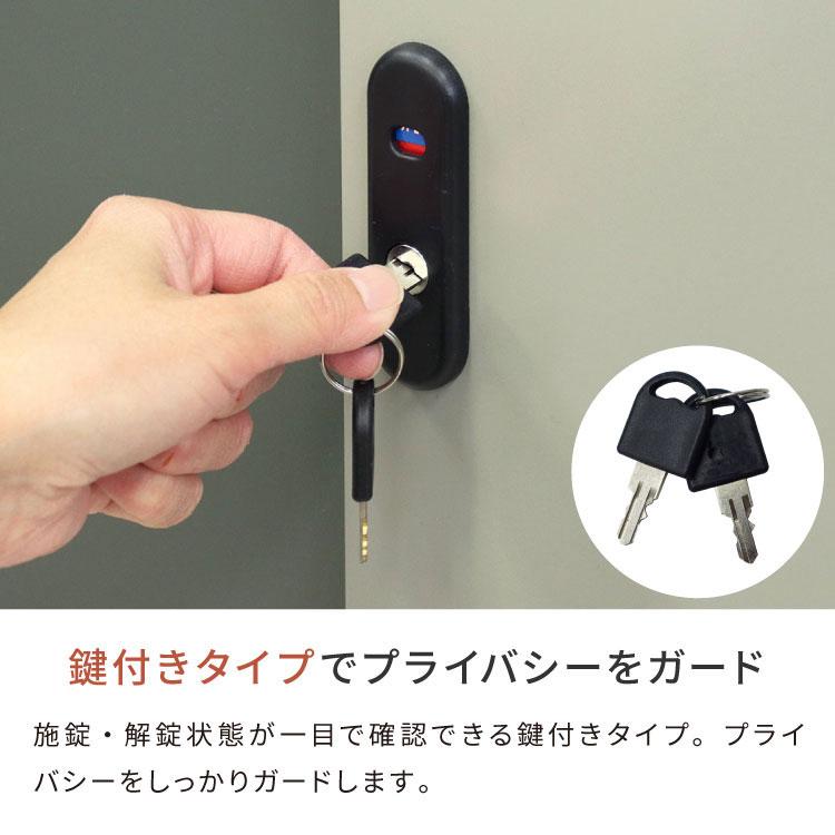 物置 Ave ラージ 存在感 幅90.5cm コンパクトサイズ 収容力 収納力 